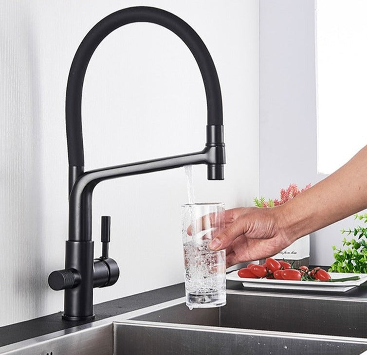 Kitchen faucet with dual spout and water filtration – PureFlow Duo