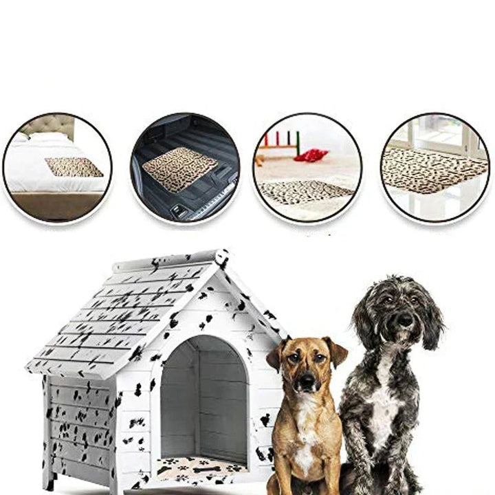 Base reutilizable para perros - EcoPad