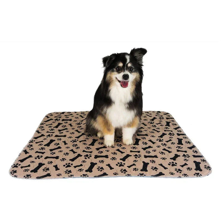 Base reutilizable para perros - EcoPad