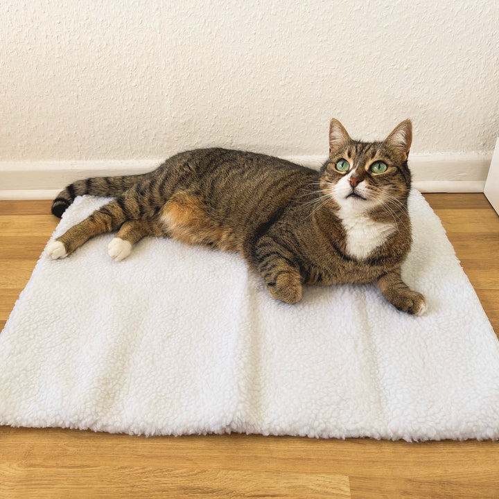 Selbstwärmende Katzenmatte – WarmPurr