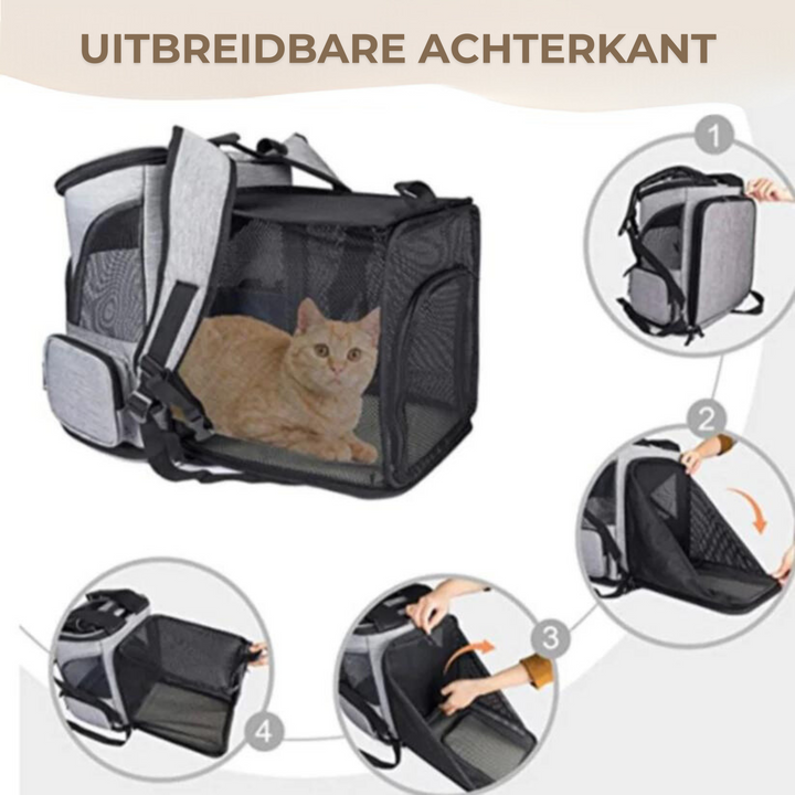 Cat Backpack – PurrPack