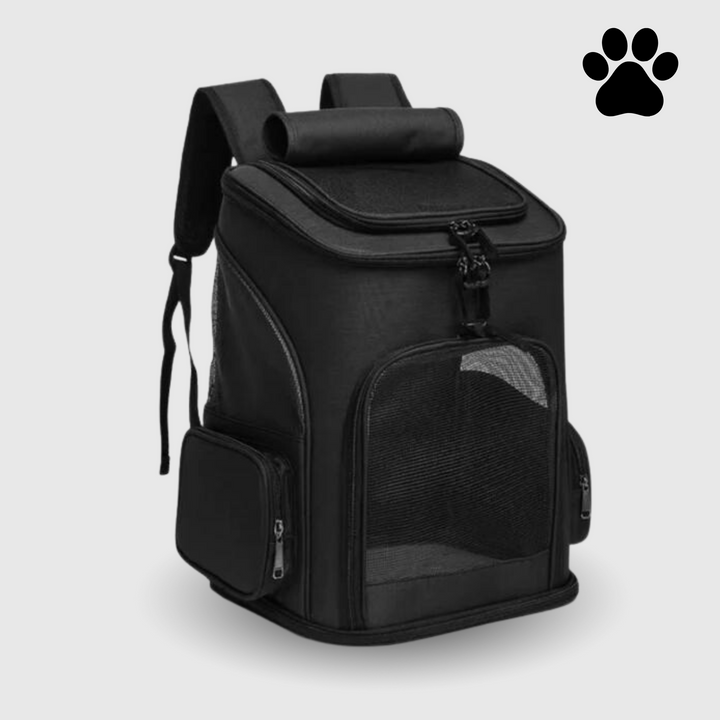 Cat Backpack – PurrPack