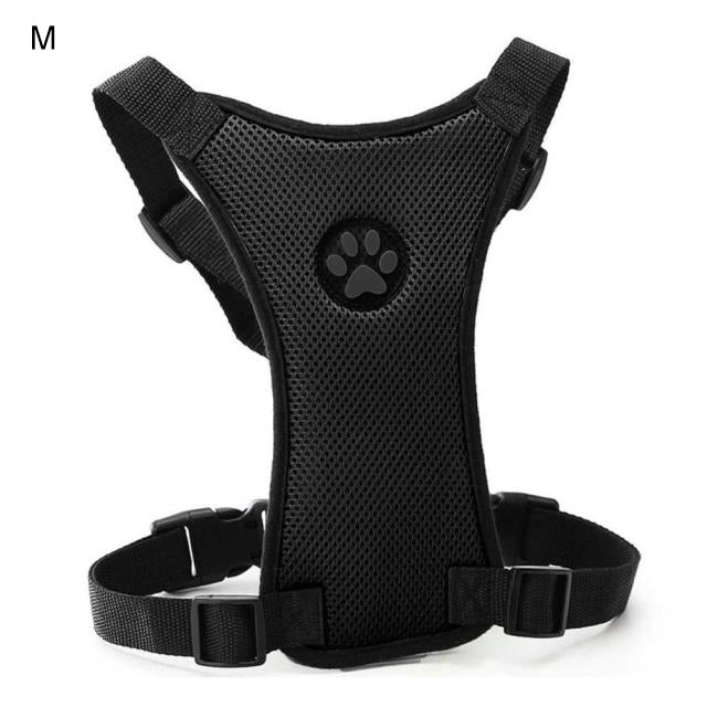 Car seatbelt with comfortable chest harness for dogs - PawSafe