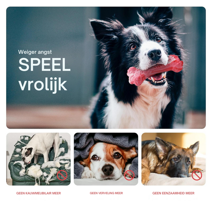 Der Verspielte Zahnpfleger für Hunde – BuddyChew