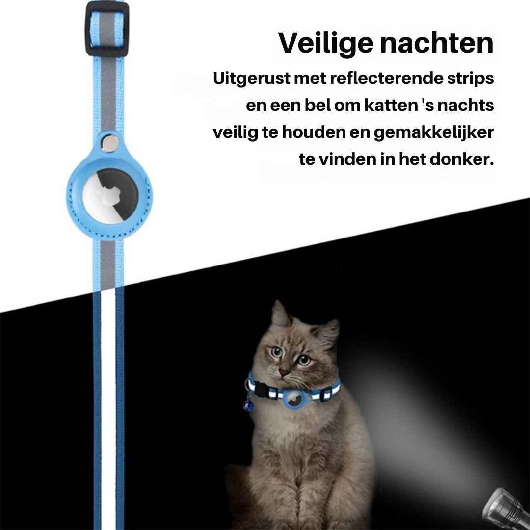 Collar para gato con cierre de seguridad - Milo