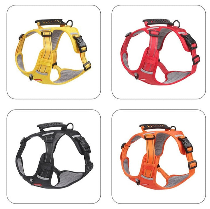 Anti-pull harness for dogs - FlexiFit