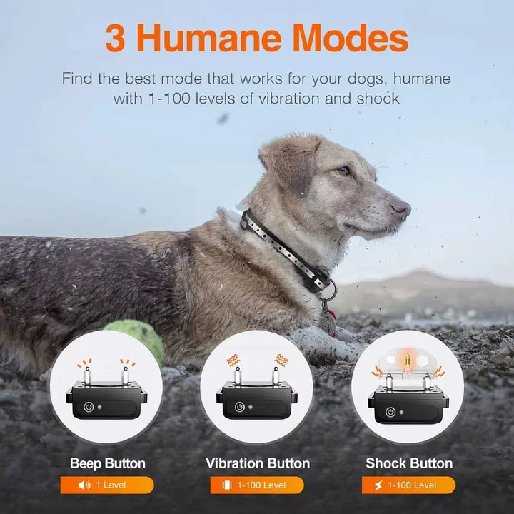 Collar de adiestramiento eléctrico recargable para perros con control remoto y alcance de 1000 m – PetControl