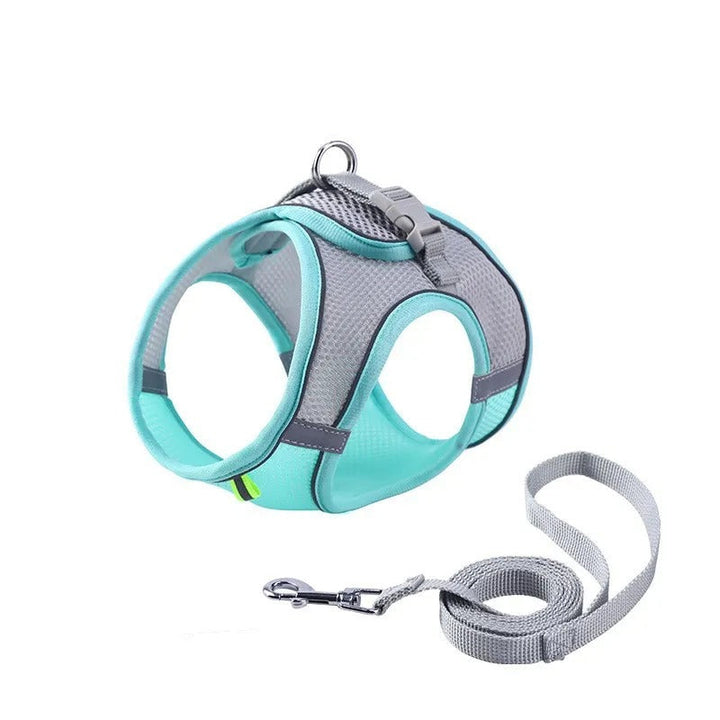 Arnés ajustable para gatos con correa – WhiskerWander