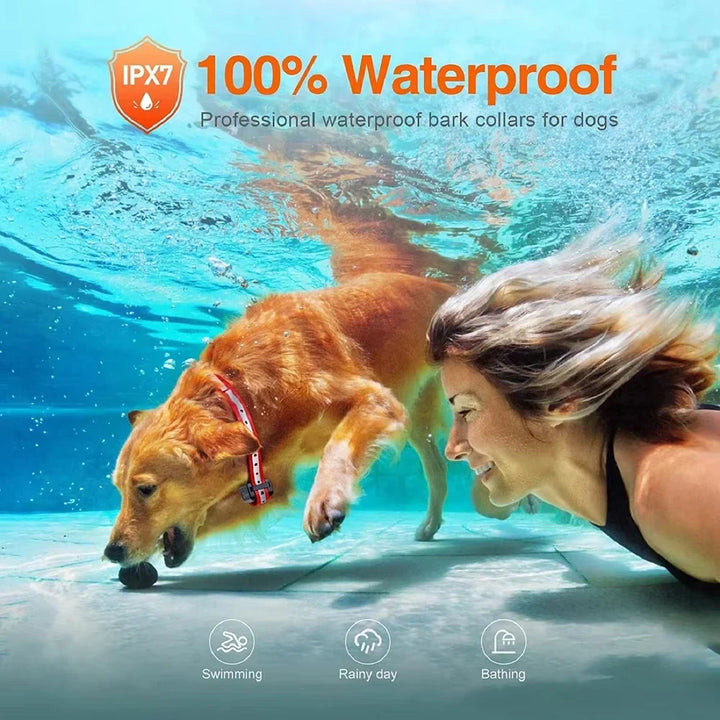 Collar de adiestramiento eléctrico recargable para perros con control remoto y alcance de 1000 m – PetControl