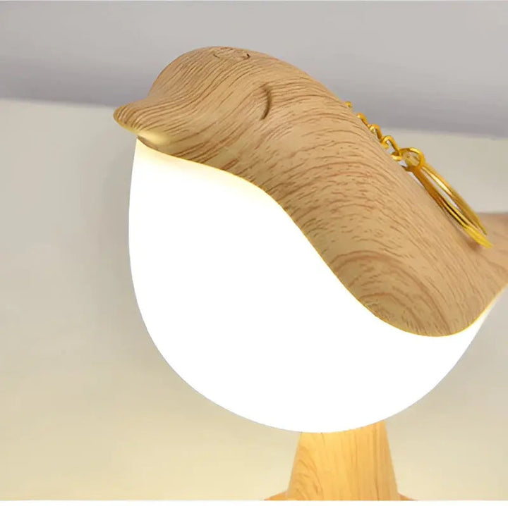 Stylish Lighting and Aromatherapy in One – AeroLight