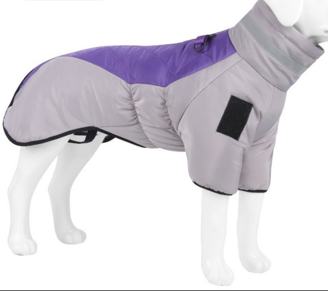 Chaqueta impermeable para perros - WeatherPaws