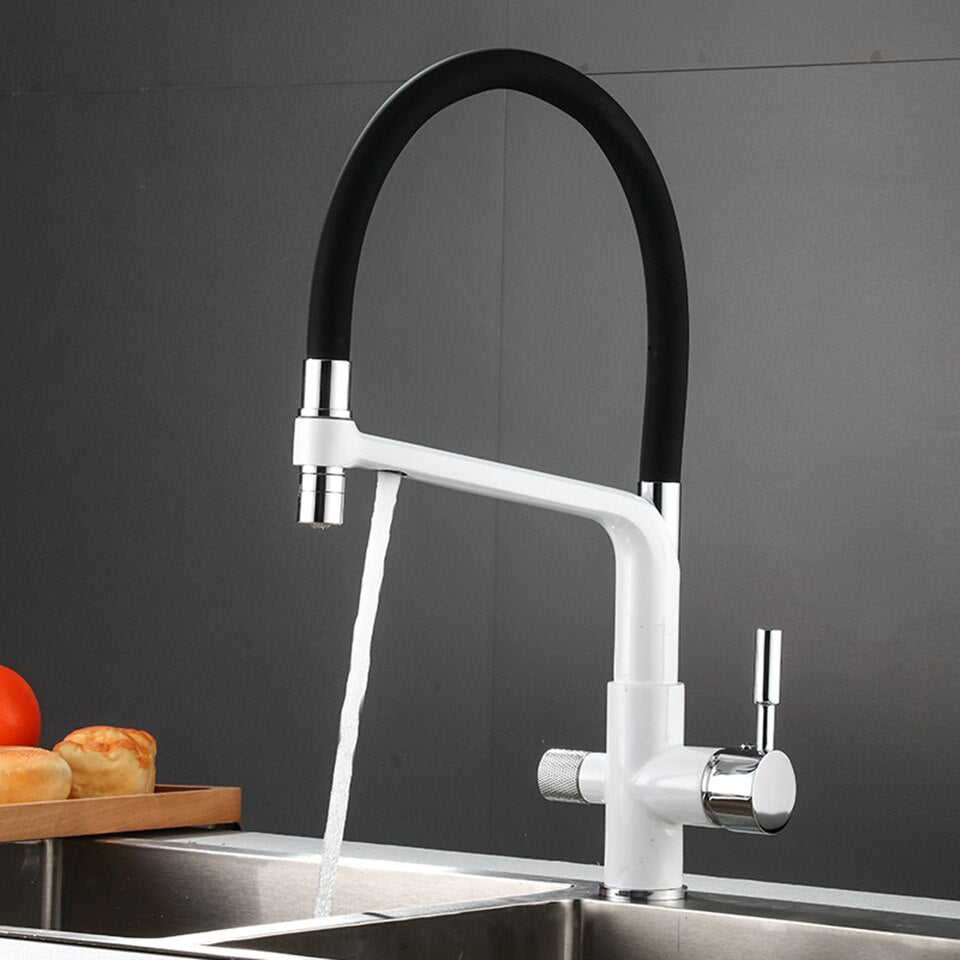 Kitchen faucet with dual spout and water filtration – PureFlow Duo