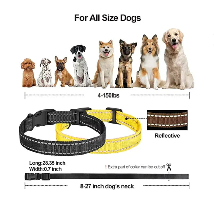 Collar de adiestramiento eléctrico recargable para perros con control remoto y alcance de 1000 m – PetControl
