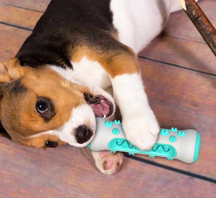 Tandrensende tyggelegetøj til hunde – Chewly