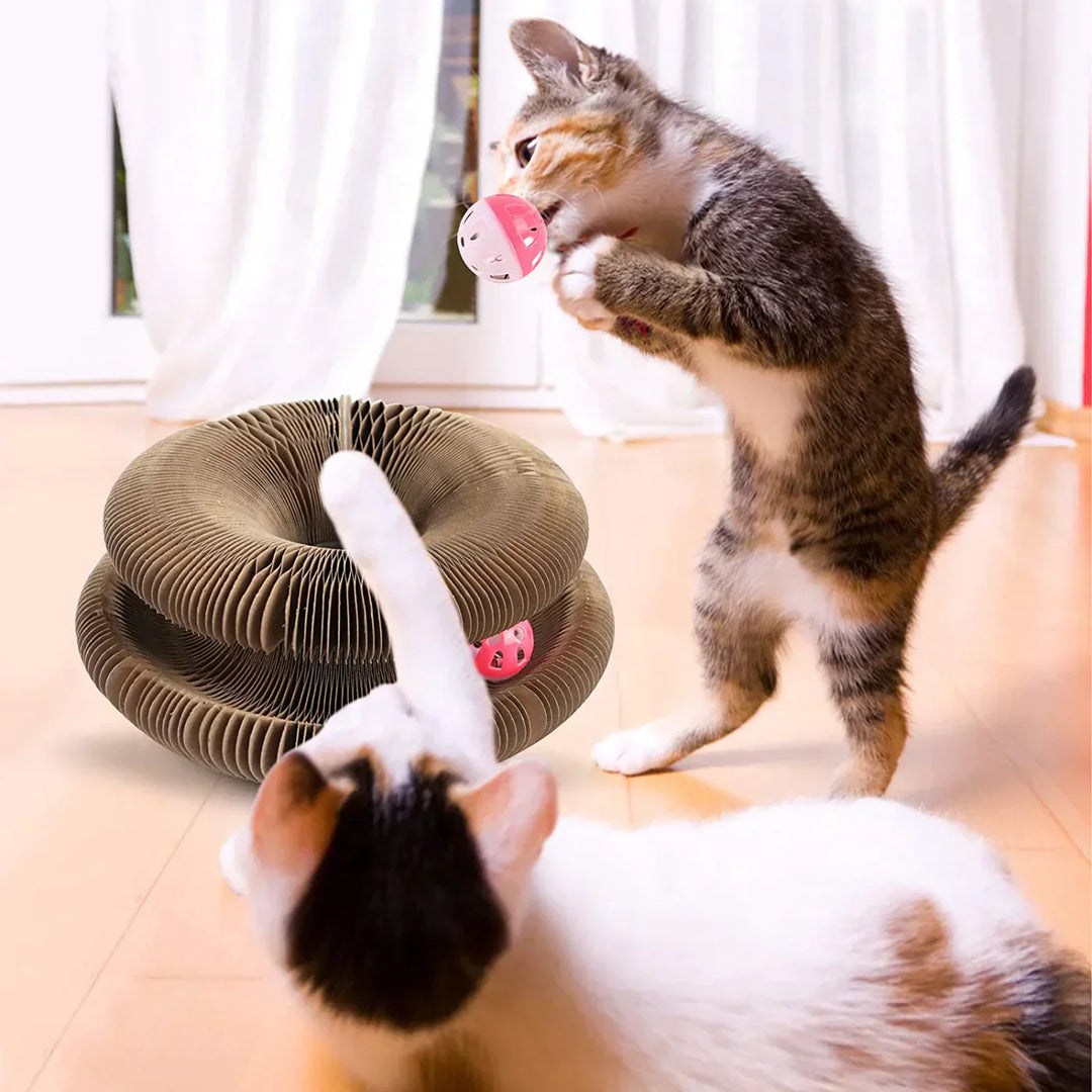 Active play fun for your cat - PurrFit