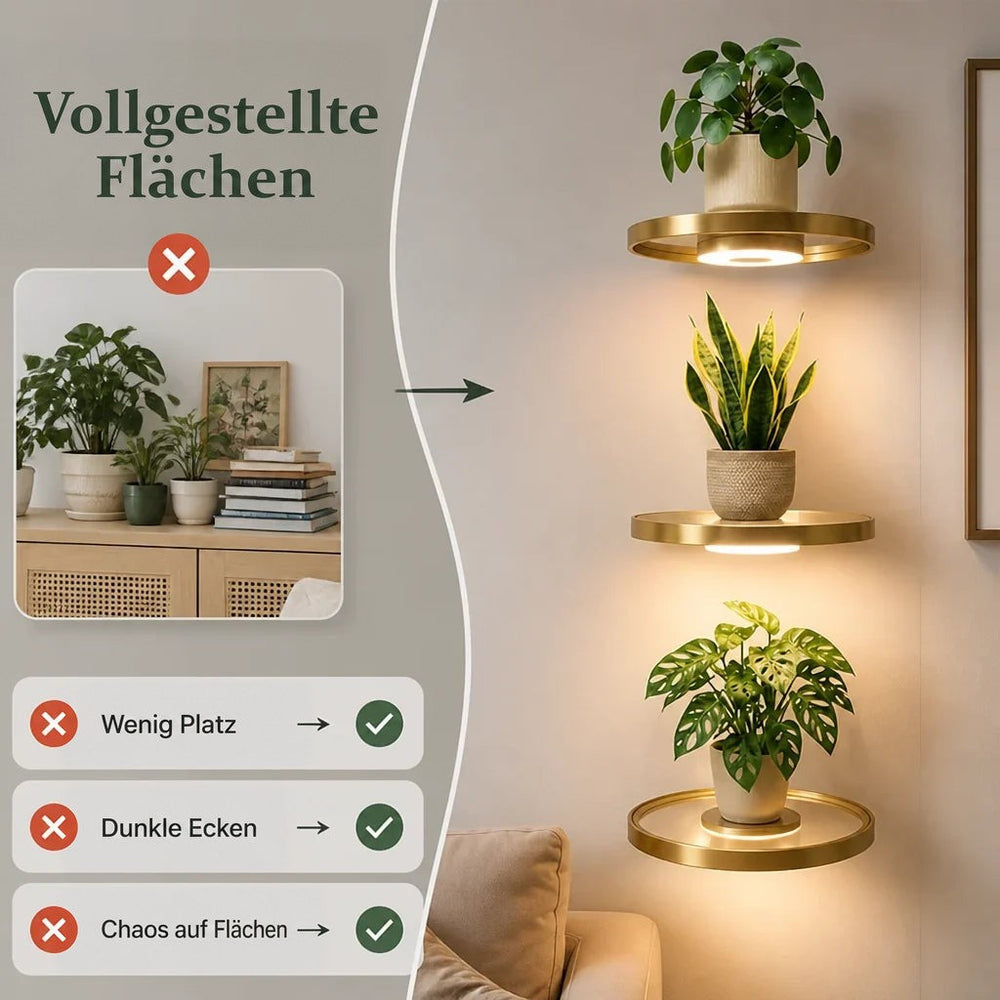 Gegenüberstellung: links eine vollgestellte Kommode mit Pflanzen und Büchern, rechts drei beleuchtete goldene Regale mit Pflanzen als aufgeräumte Lösung. 2