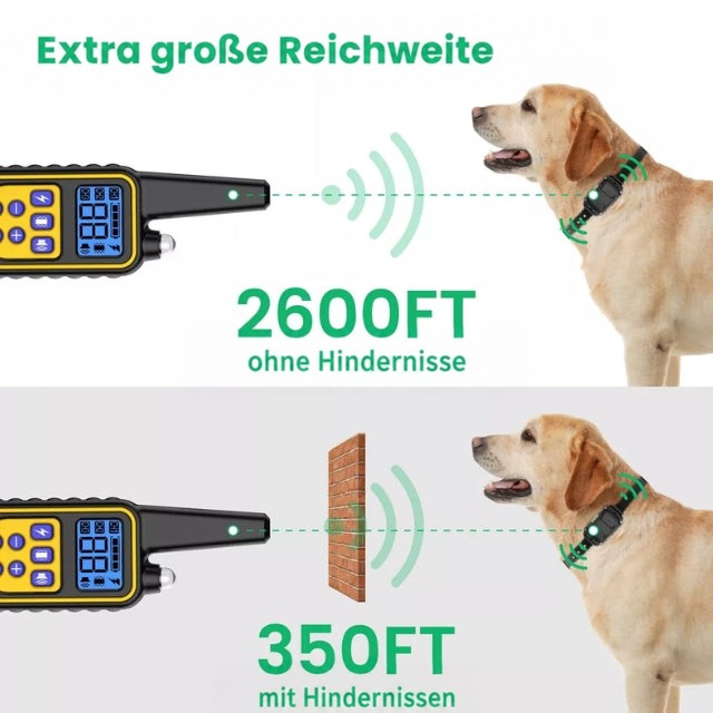 Grafik zur Reichweite der Fernbedienung ohne und mit Hindernis, dargestellt mit einem Labrador mit Halsband 4