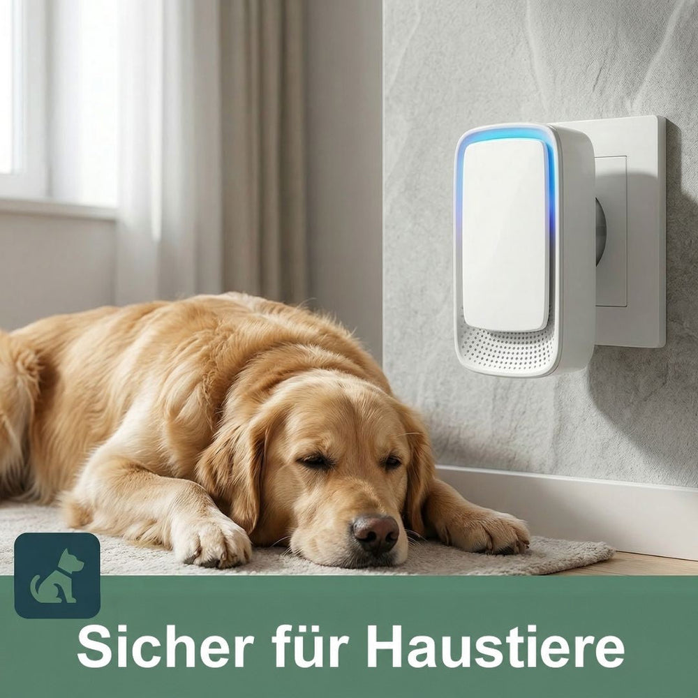 Gerät mit blauem Leuchtrand in der Wandsteckdose, davor ruht ein Golden Retriever auf einem Teppich 2