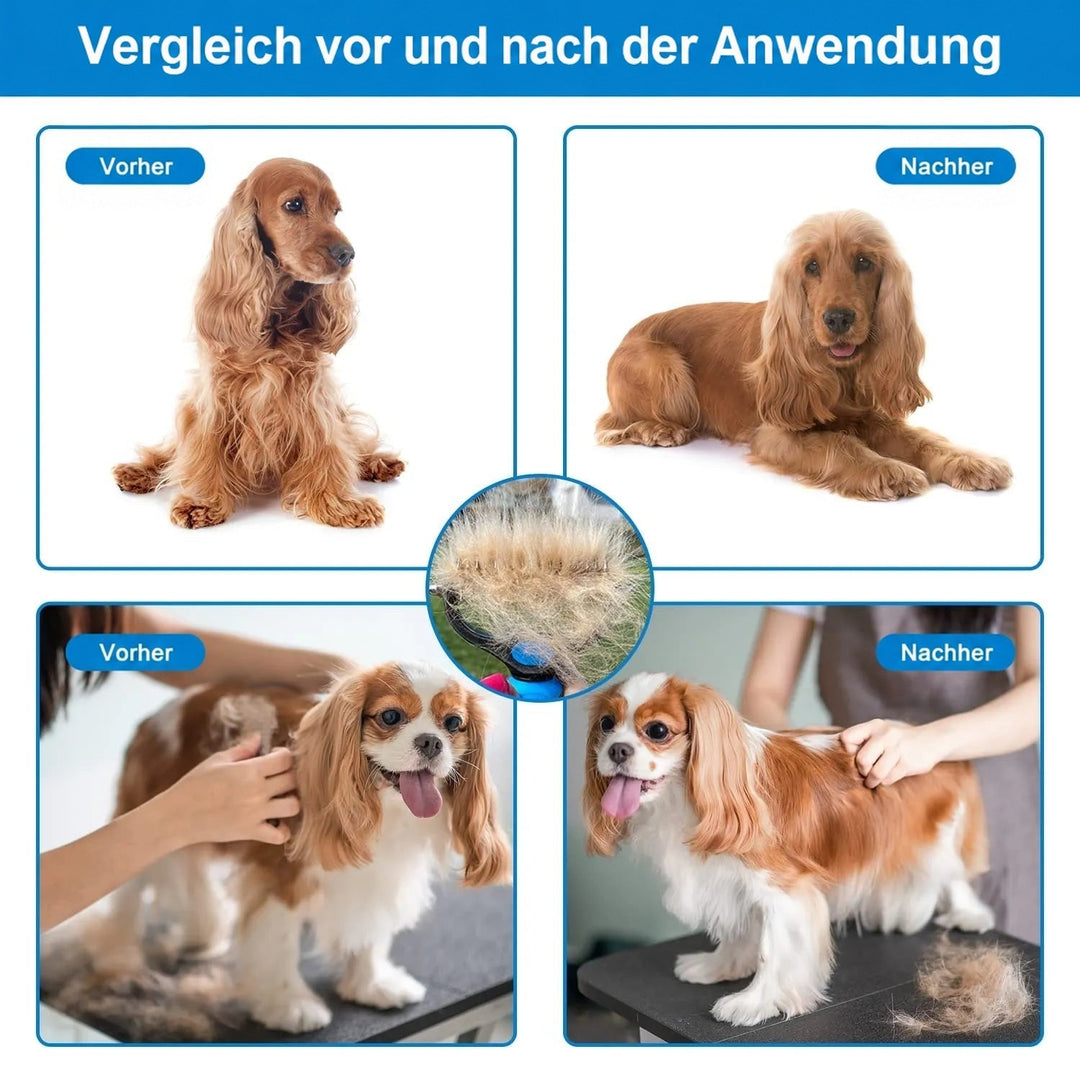 Vorher-nachher-Collage mit Cocker Spaniel und Cavalier King Charles Spaniel, in der Mitte ein Rechen voller herausgekämmter Unterwolle. 6