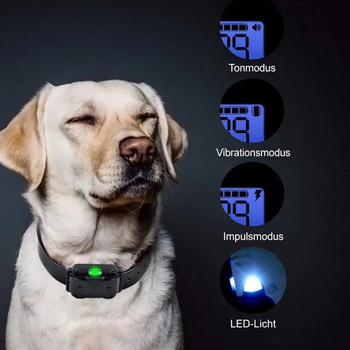 Labrador mit geschlossenen Augen trägt das Halsband, daneben Displayansichten der drei Modi und das LED-Licht 9