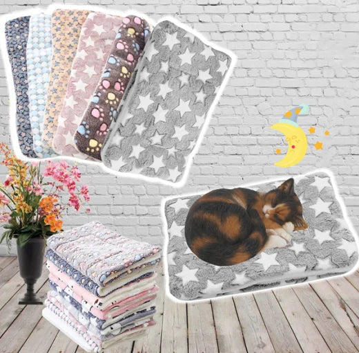 Warm Cat Blanket – SnuggleSoft