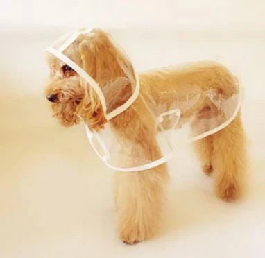 Chaqueta impermeable transparente para perros - DryPaw