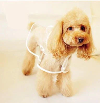 Chaqueta impermeable transparente para perros - DryPaw
