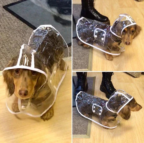 Chaqueta impermeable transparente para perros - DryPaw