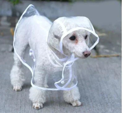 Chaqueta impermeable transparente para perros - DryPaw