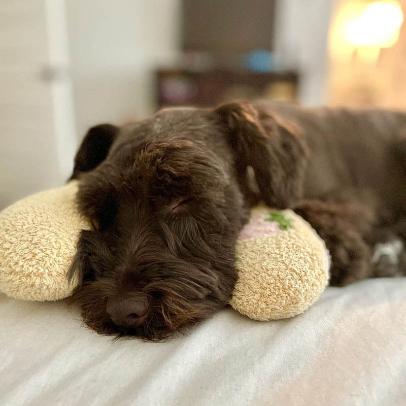 Comfortable Pillow for Dogs - CalmNest