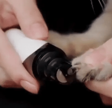 Elektrischer Nagelzuhelfer für Hunde – PawTrim