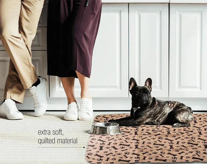 Base reutilizable para perros - EcoPad