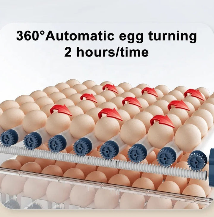 Automatische Brutmaschine – HatchEase