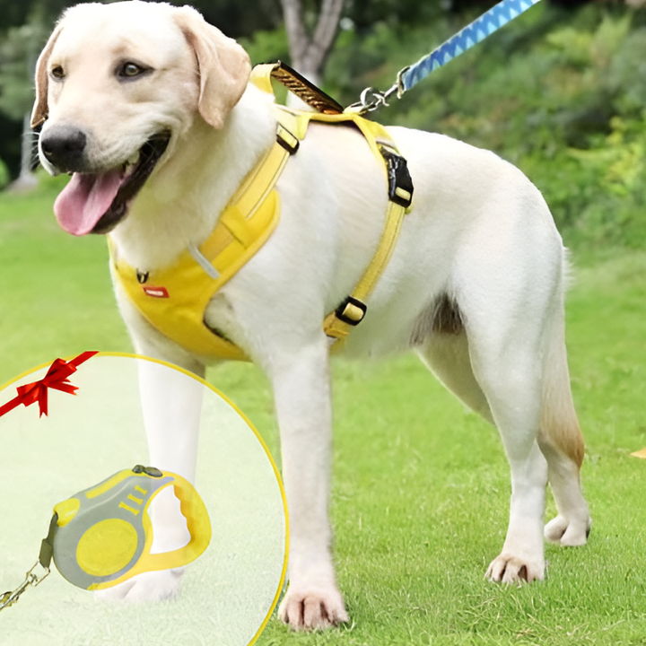 Anti-pull harness for dogs - FlexiFit