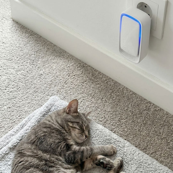 Eingestecktes Gerät mit blauem Leuchtstreifen an der Wand, darunter schläft eine getigerte Katze auf einer Decke 4