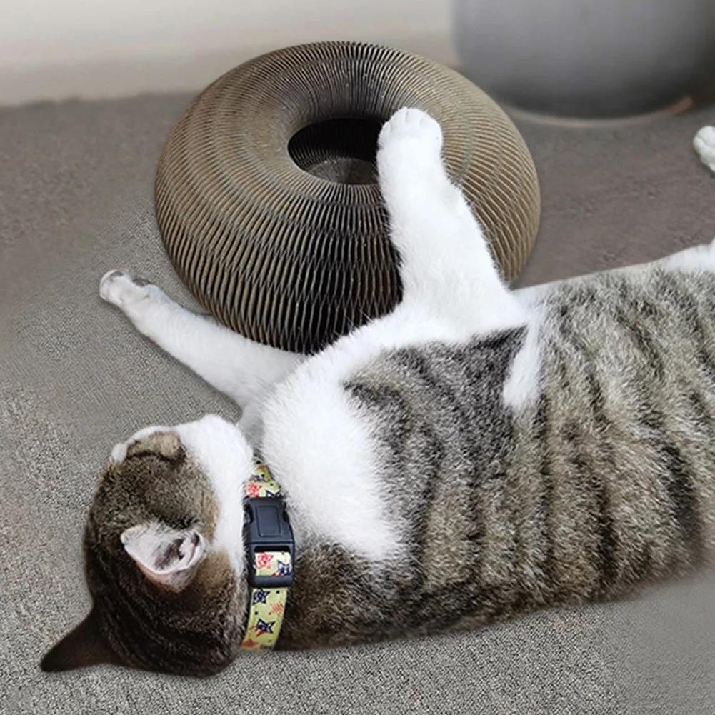 Active play fun for your cat - PurrFit