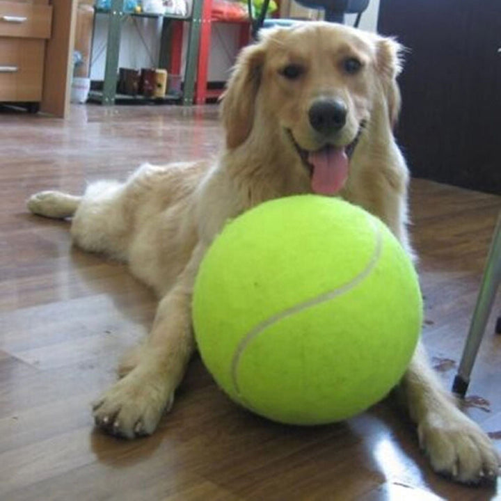 Pelota de tenis XL para perros (24 cm) - GiantFetch
