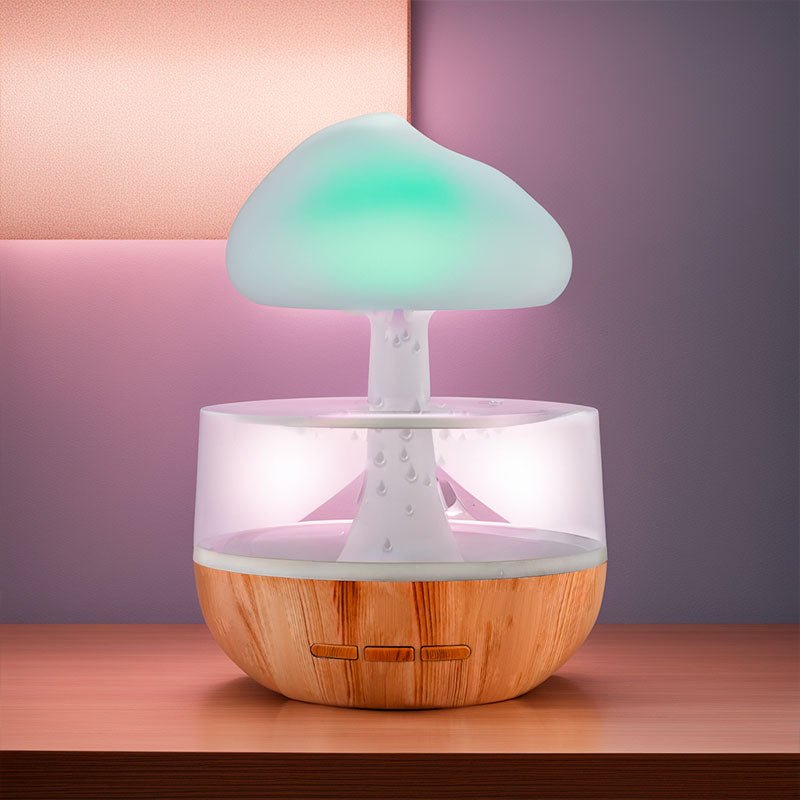 Design Humidifier – RainCloud