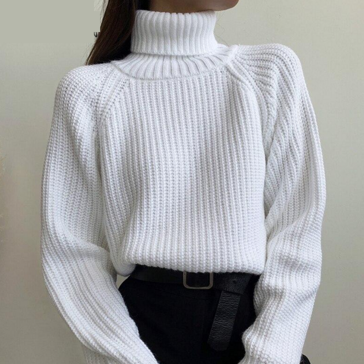 Megan's Sweater | Turtleneck Sweater for Women