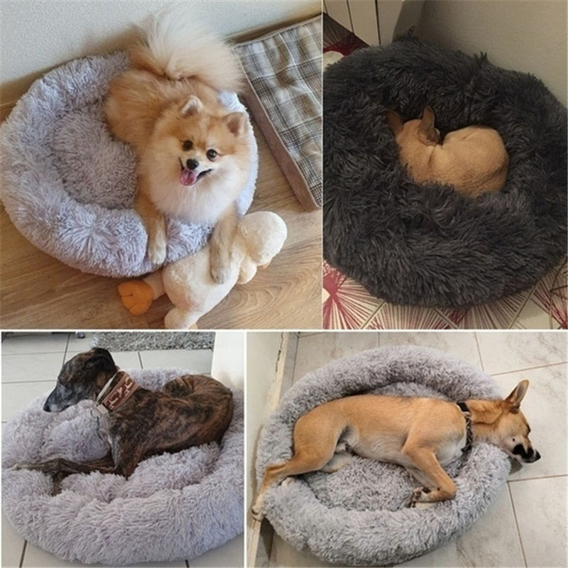 Didi Donut Hundeseng | Den mest behagelige kurv til din firbenede ven