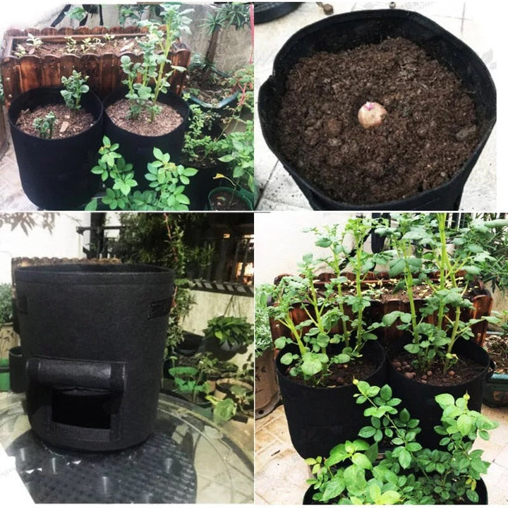 Kwik macetas para plantar | La maceta de cultivo más bonita para verduras