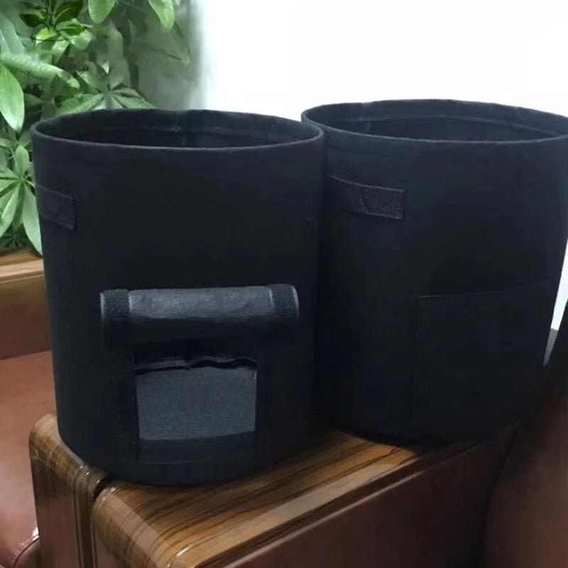 Kwik macetas para plantar | La maceta de cultivo más bonita para verduras